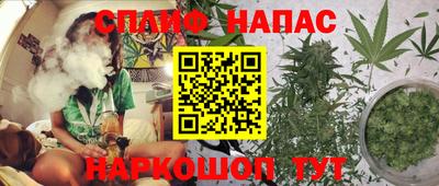 мдпв Славгород