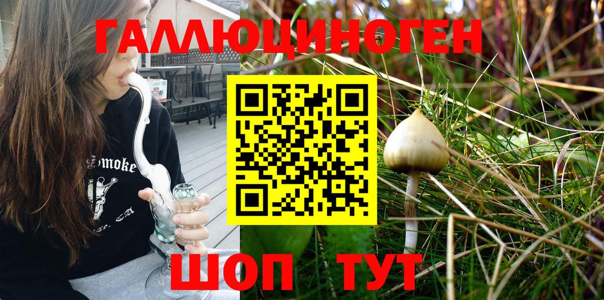 Псилоцибиновые грибы Psilocybe  Вход с VPN  сколько стоит  Галлюциногенные грибы ЛСД  Новотроицк 